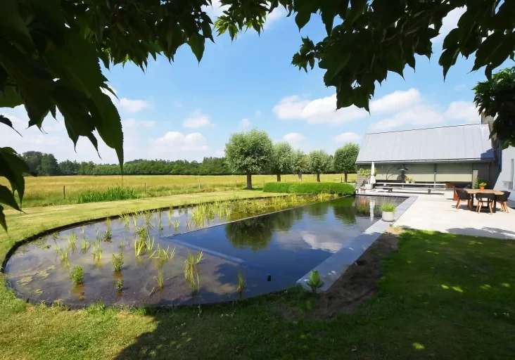Landelijke zwemvijver_2