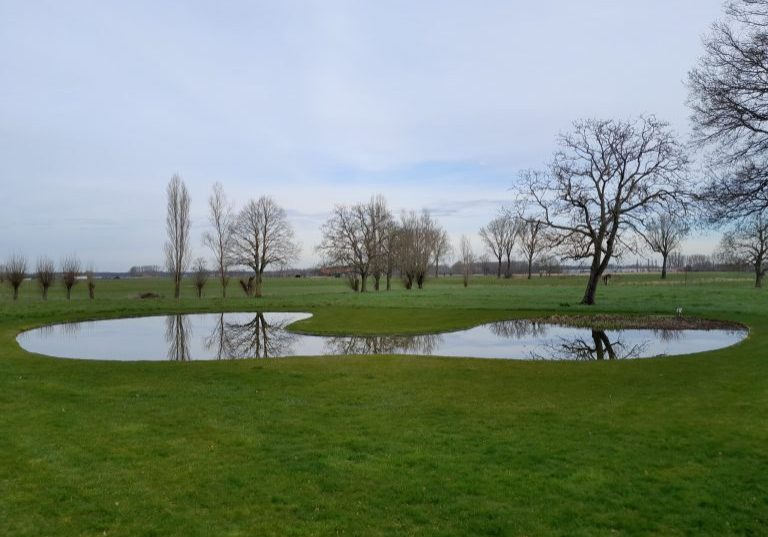 Spiegelvijver organische vorm